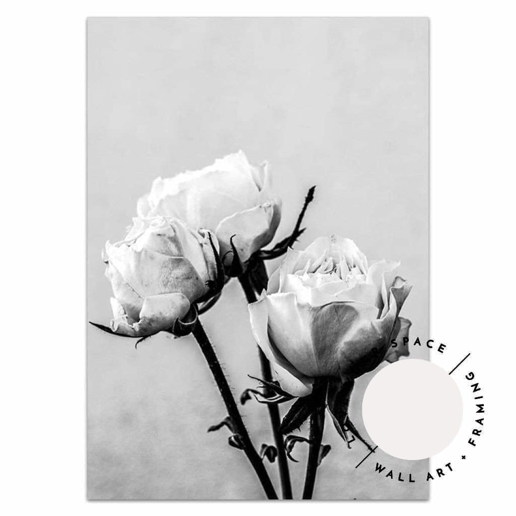 Vintage Rose II - Black & White - Love Your Space