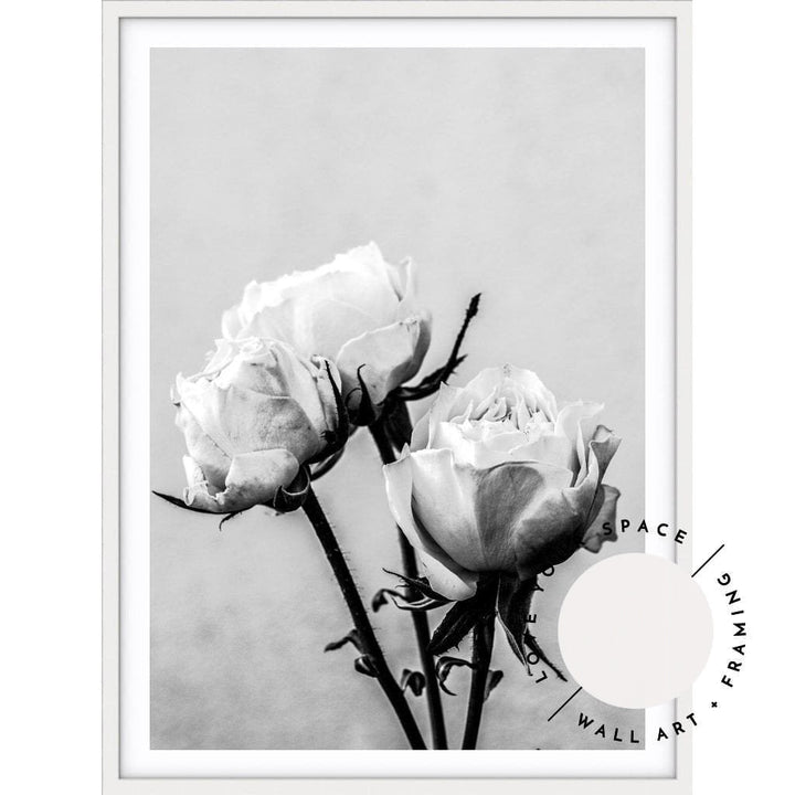 Vintage Rose II - Black & White - Love Your Space