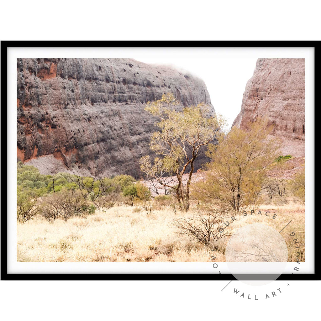 Walpa Gorge Uluru I