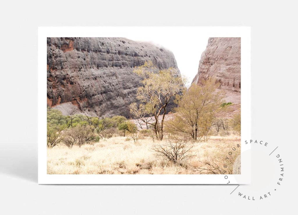 Walpa Gorge Uluru I