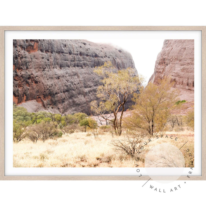 Walpa Gorge Uluru I