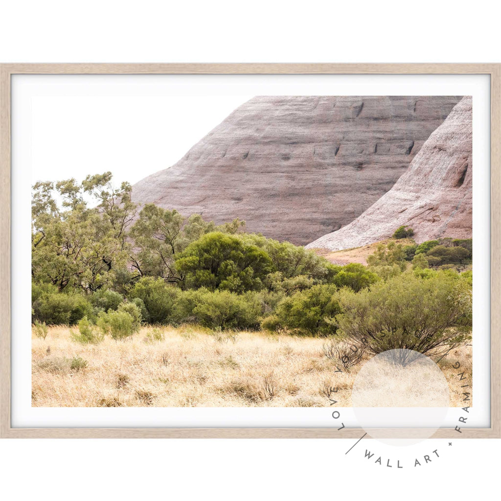 Walpa Gorge Uluru II