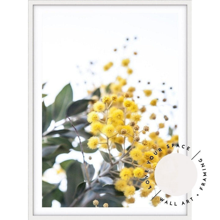 Wattle II - Love Your Space