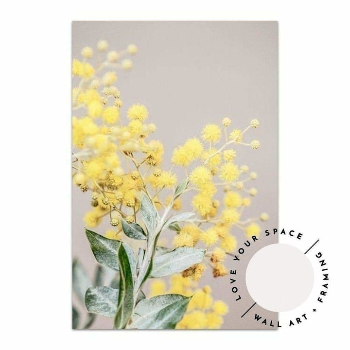 Wattle III - Love Your Space