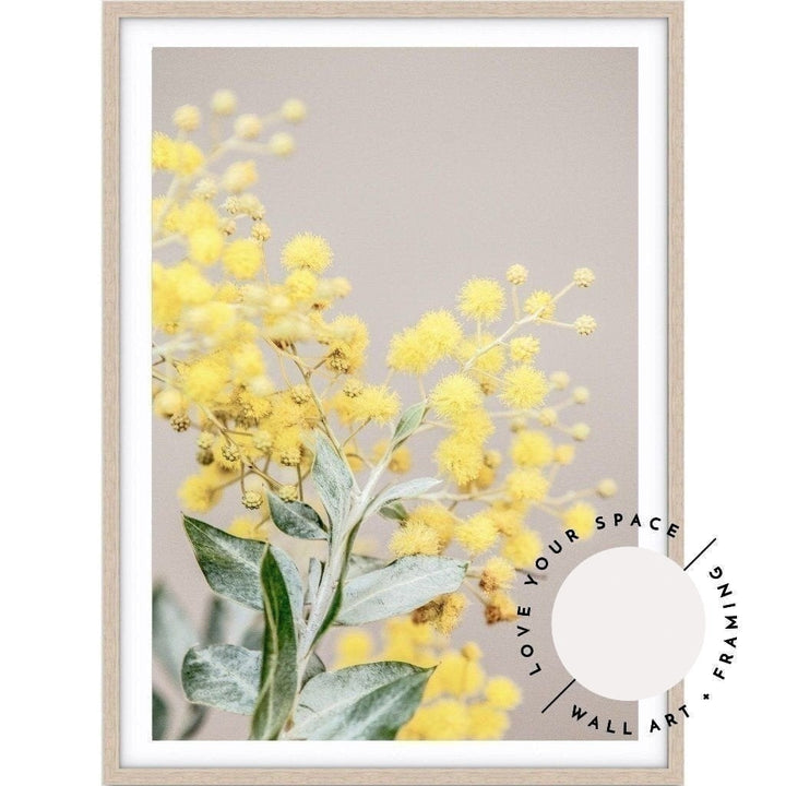 Wattle III - Love Your Space