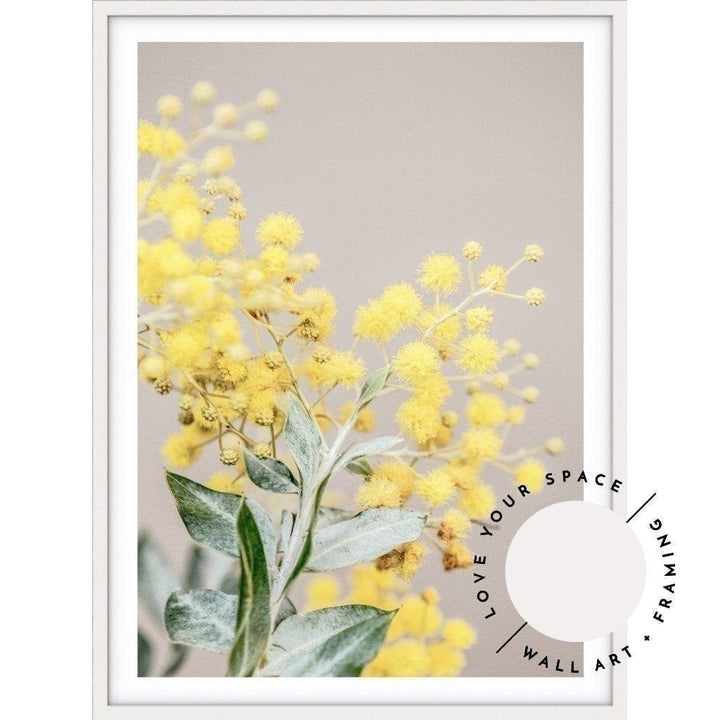 Wattle III - Love Your Space