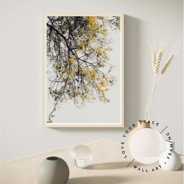 Wattle Tree - Love Your Space