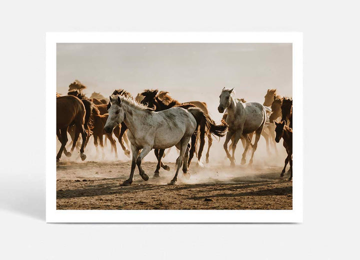 Mustering Italy II
