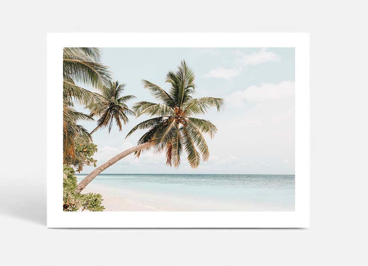Maldive Palms II