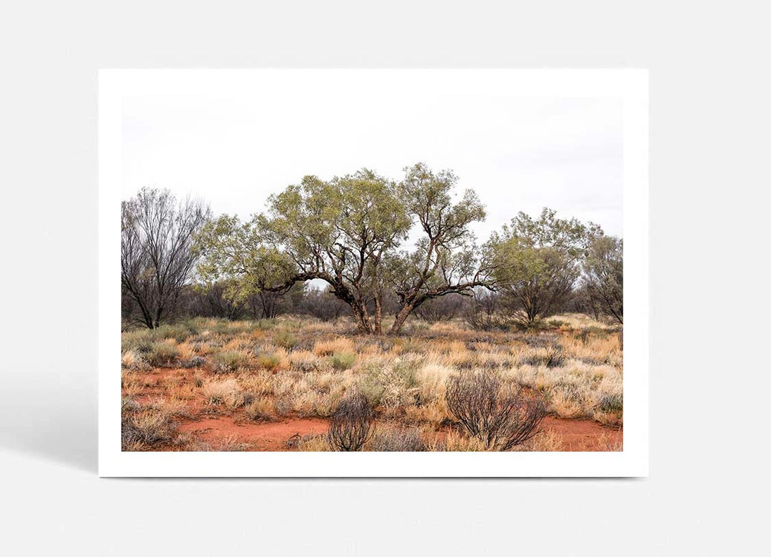 Red Dirt - Uluru III