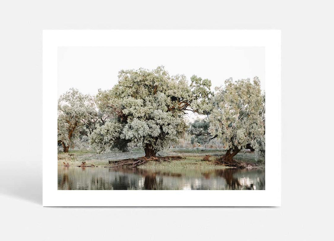 The Darling River Flooded II