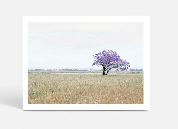 The Lonely Jacaranda II