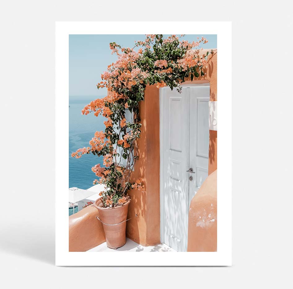 Cliffside Peach