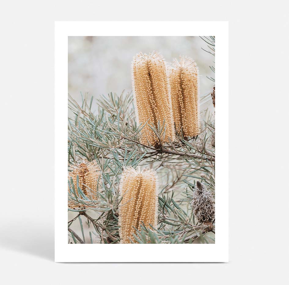 Set of 2 - Banksia I & II Frazer Beach