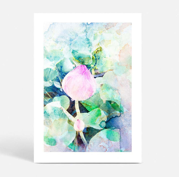 Watercoloured Rose