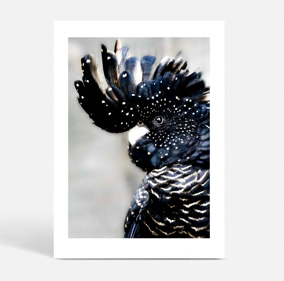 Flora & Fauna Trio
