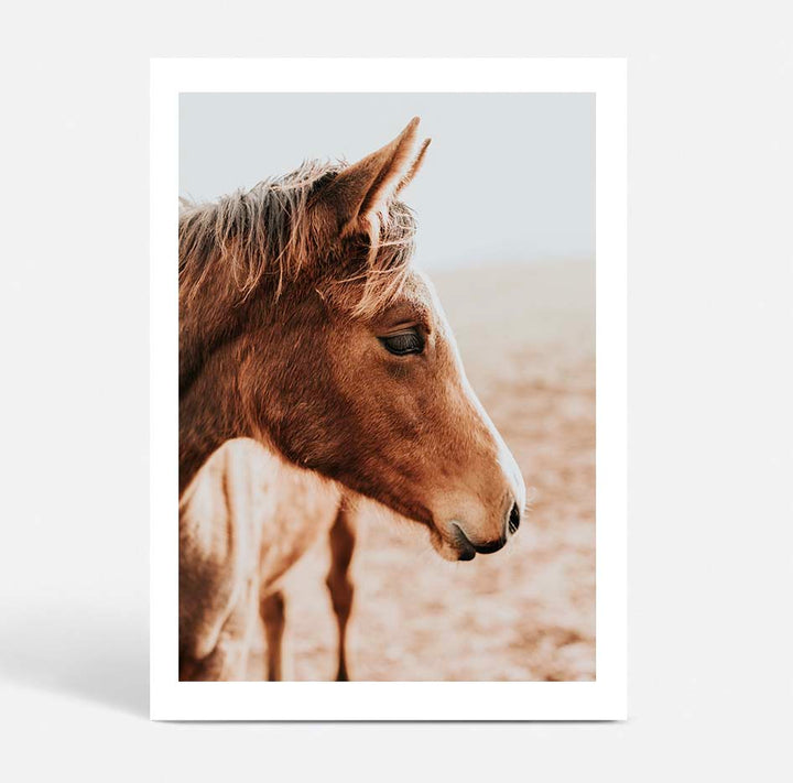 Set of 2 - Brown Mare & Sunflowers
