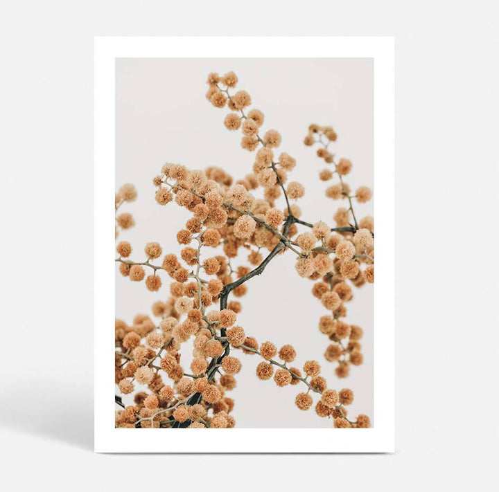Set of 2 -Wattle IV & V