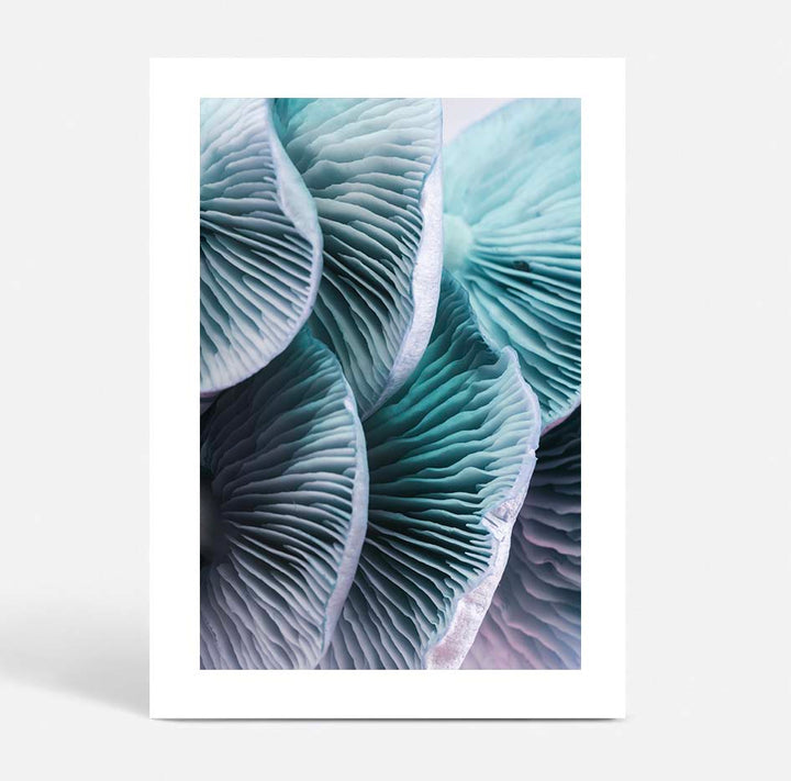 Blue Mushrooms