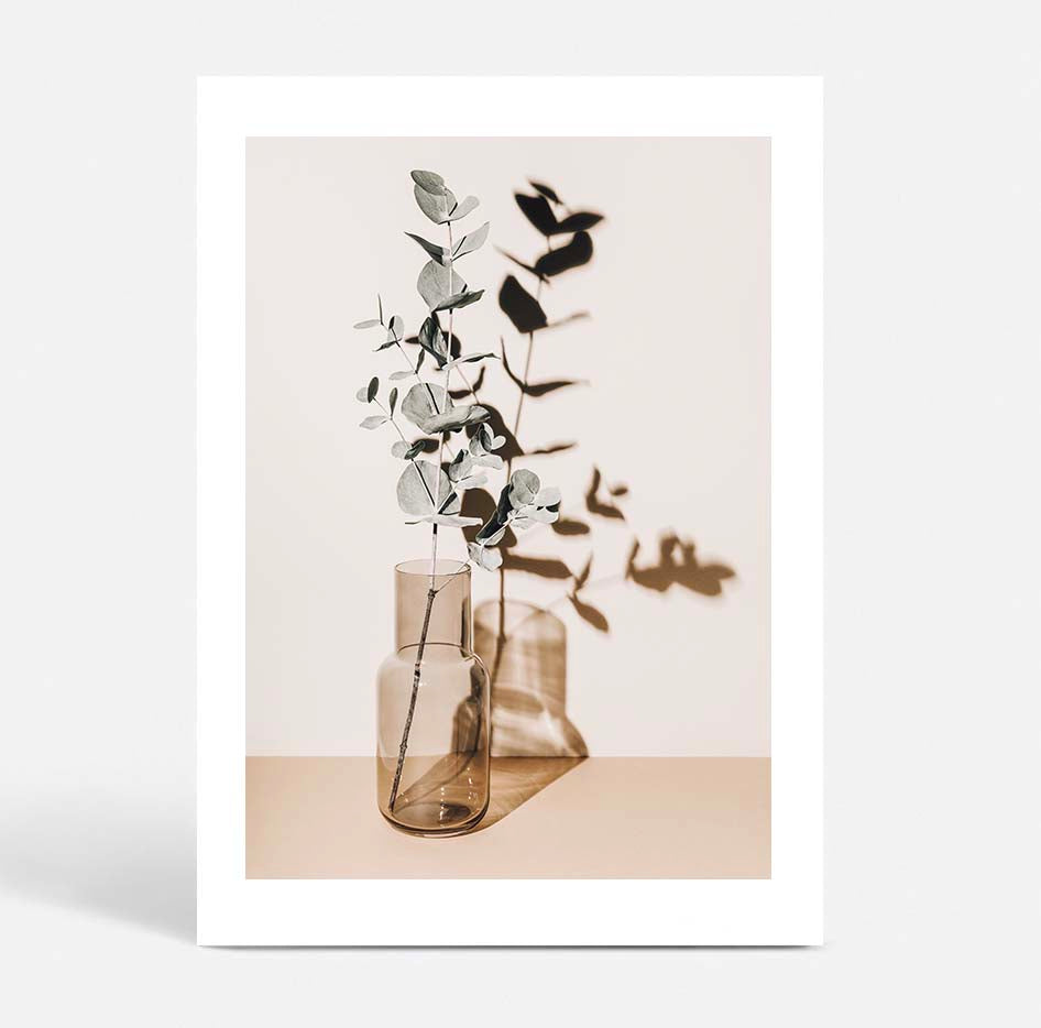 Antique Eucalyptus