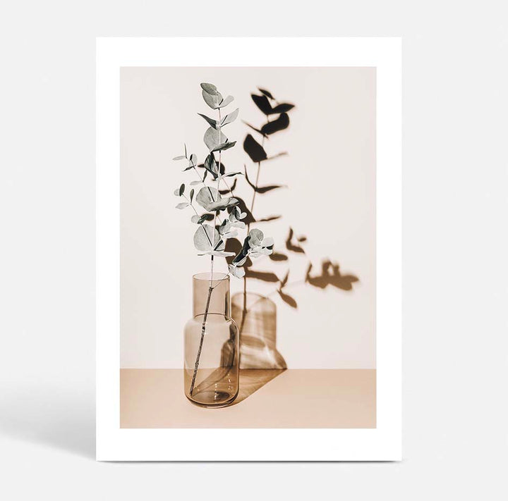 Antique Eucalyptus