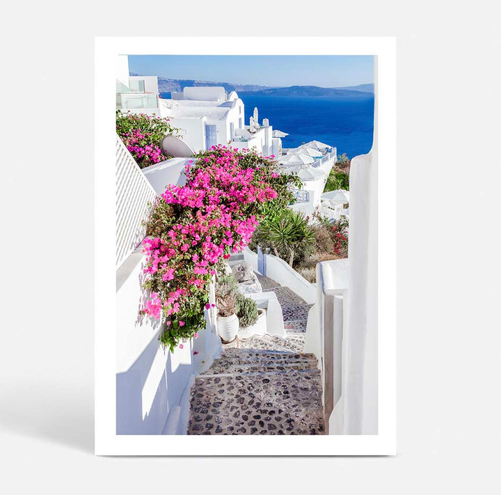 Santorini Wildflowers