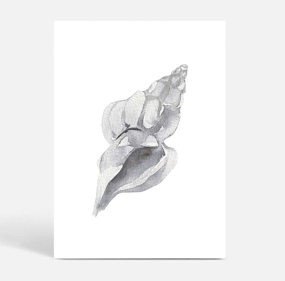 Shell no.1