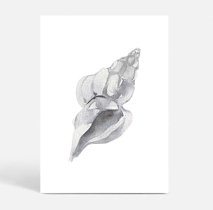Shell no.1