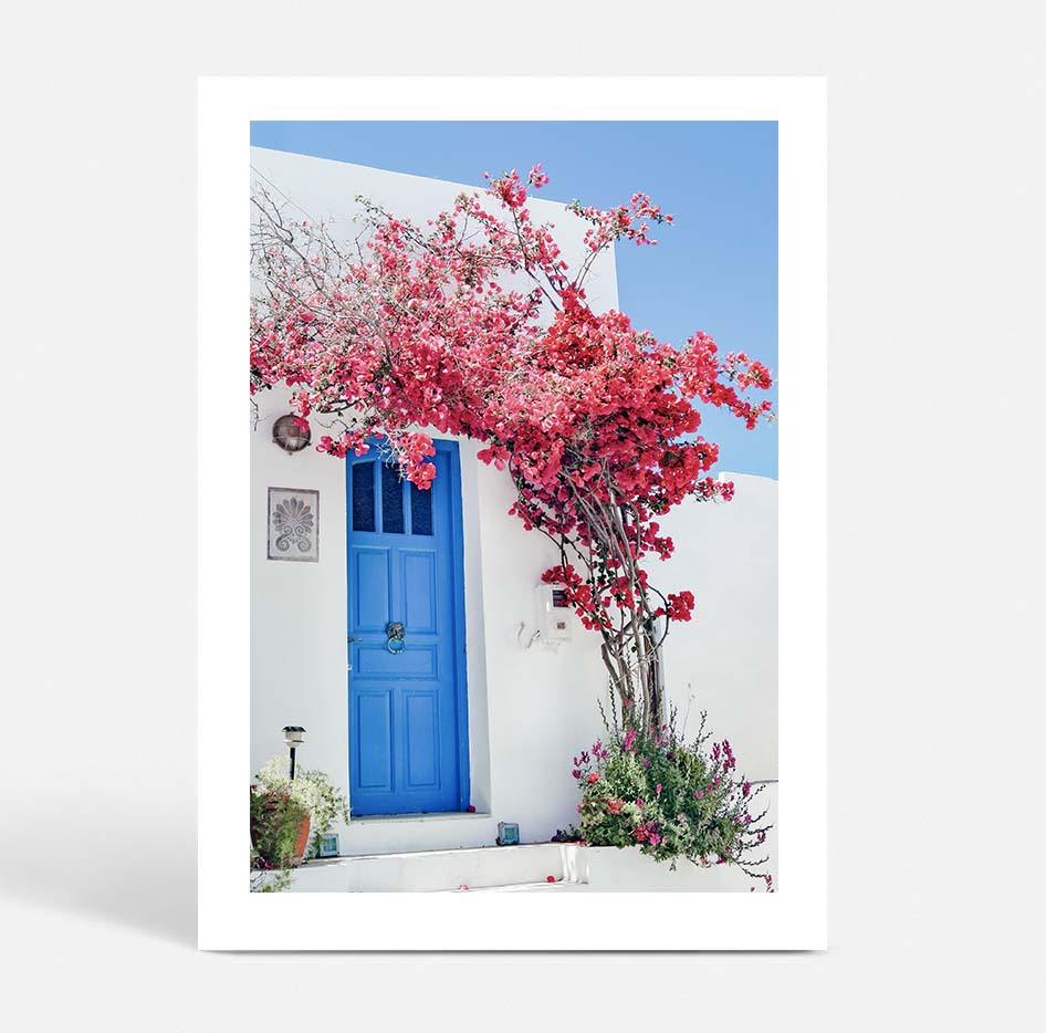 Greek Blooms