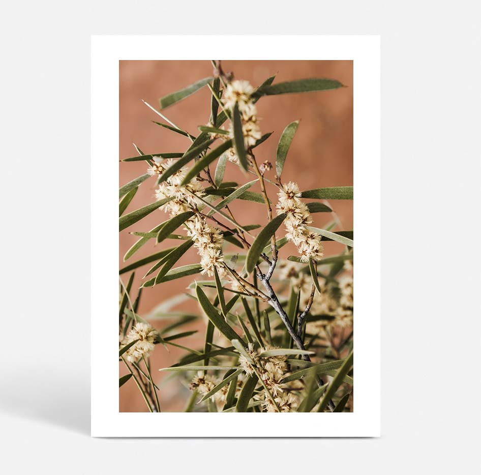 Outback Floral