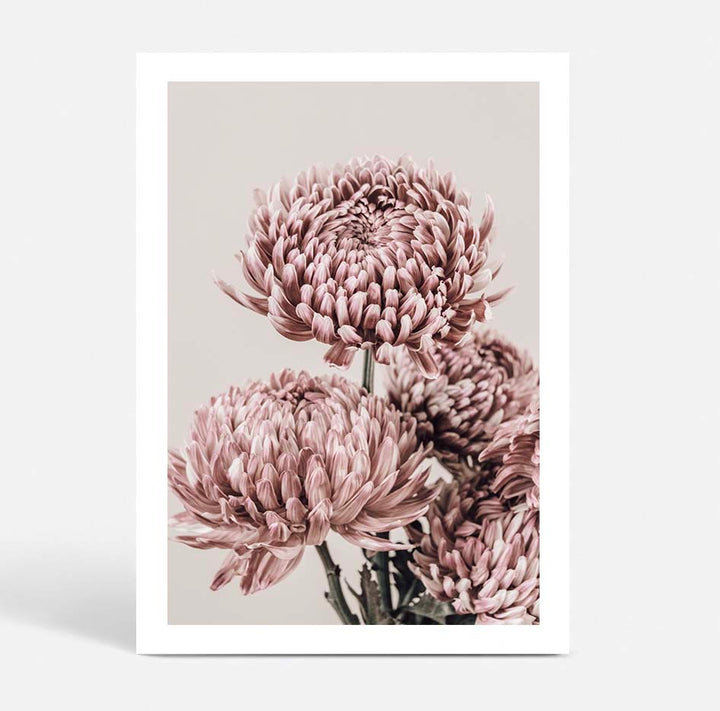 Set of 2 - Vintage Chrysanthemum I & II