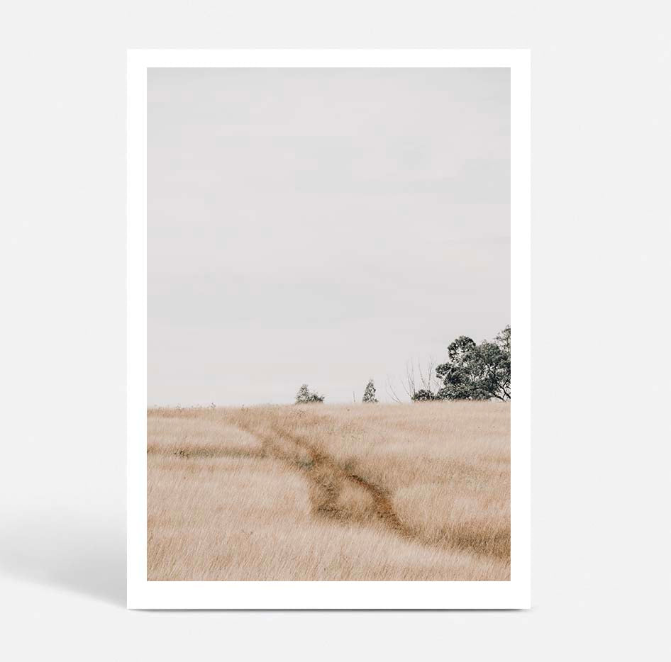 Traces