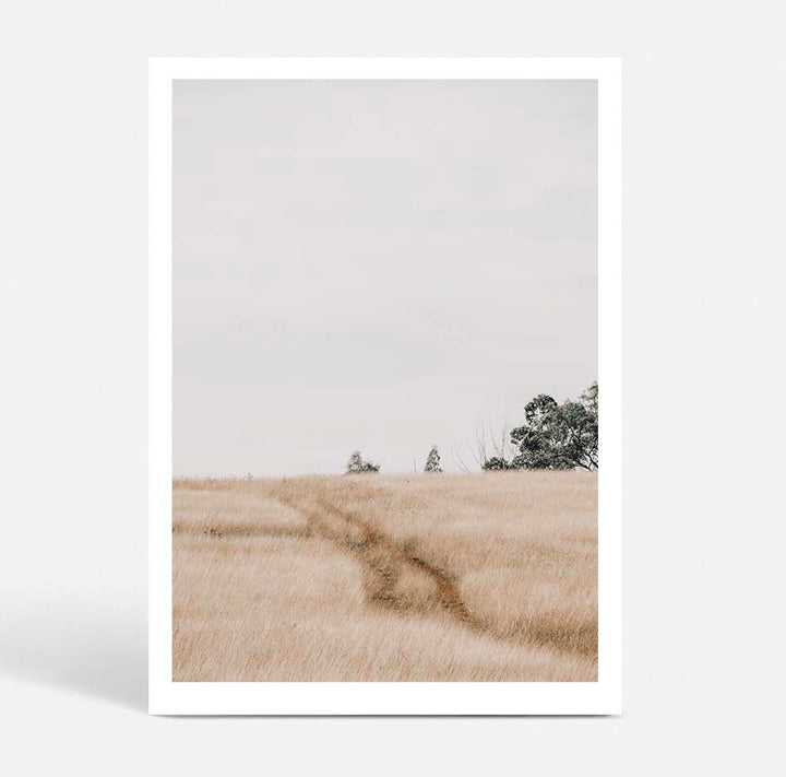 Traces
