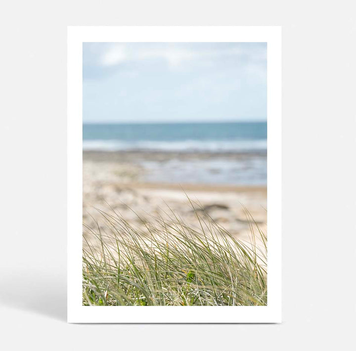 Coastal Breeze