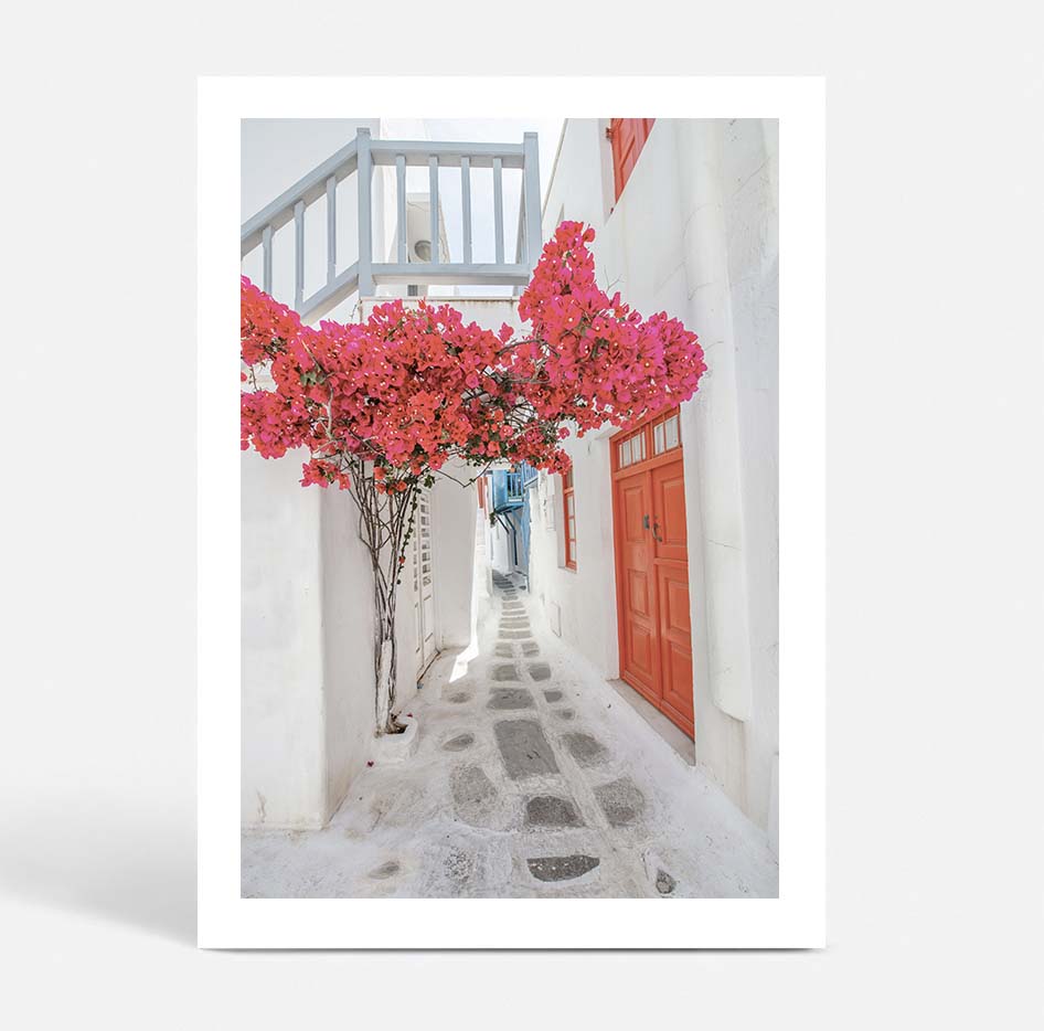Citrus Doors