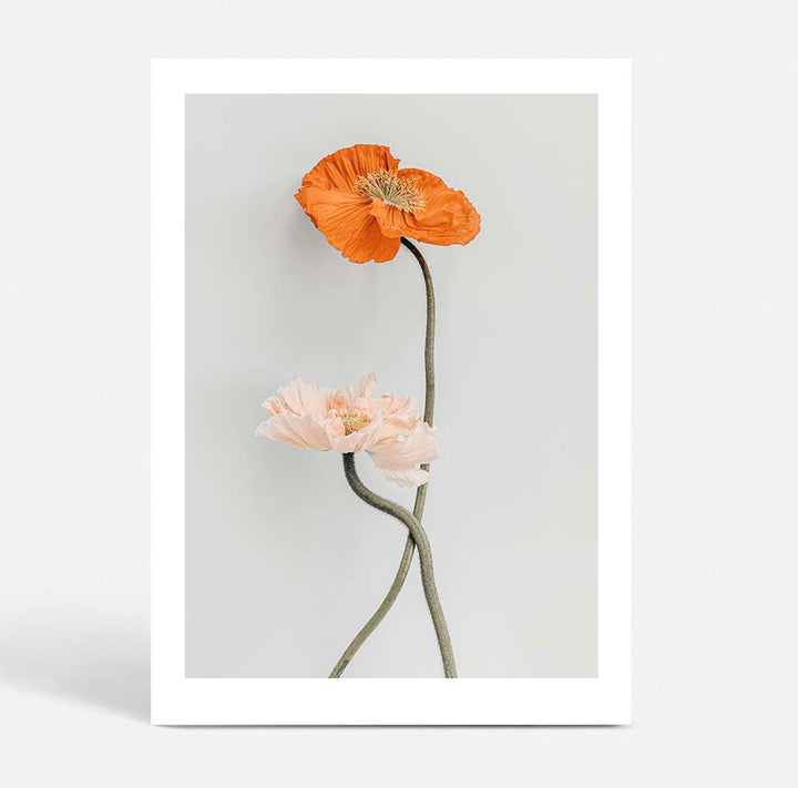 Set of 2 - Tall Poppy I & II