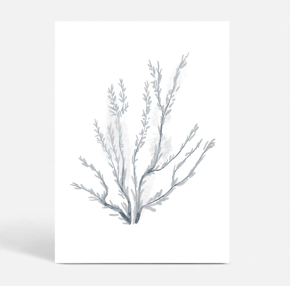Coral no.3