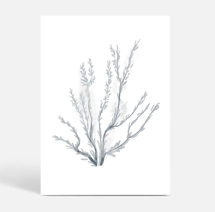 Coral no.3