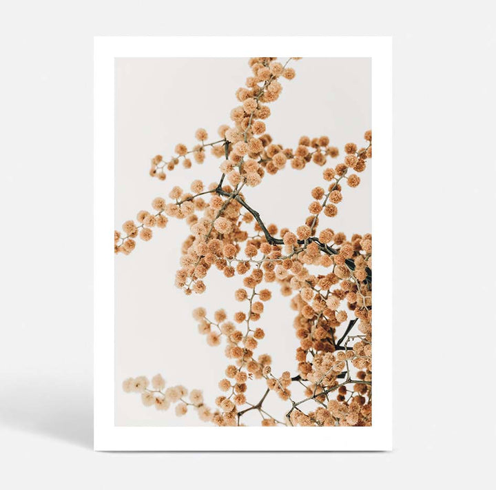 Set of 2 -Wattle IV & V