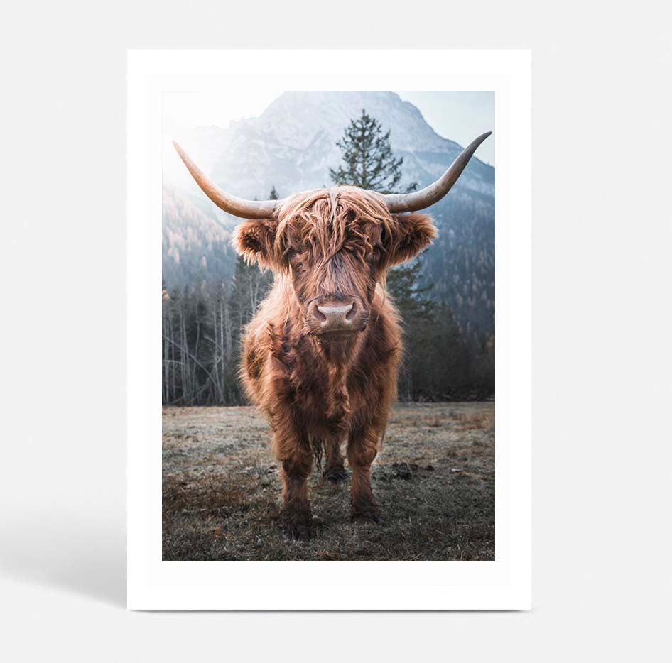 Wild Highland II