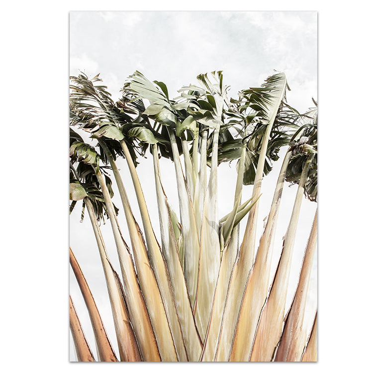 Set of 2 - Travellers Palm I + II
