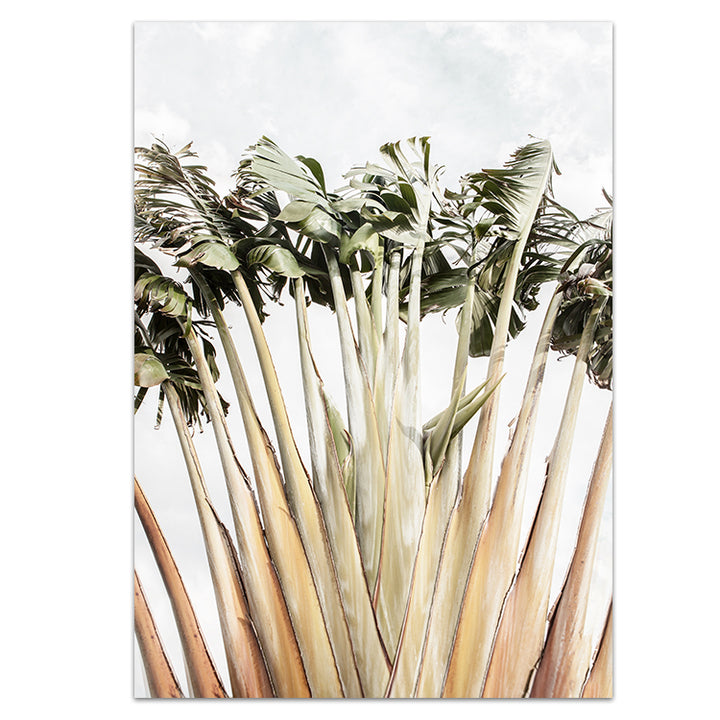 Set of 2 - Travellers Palm I + II