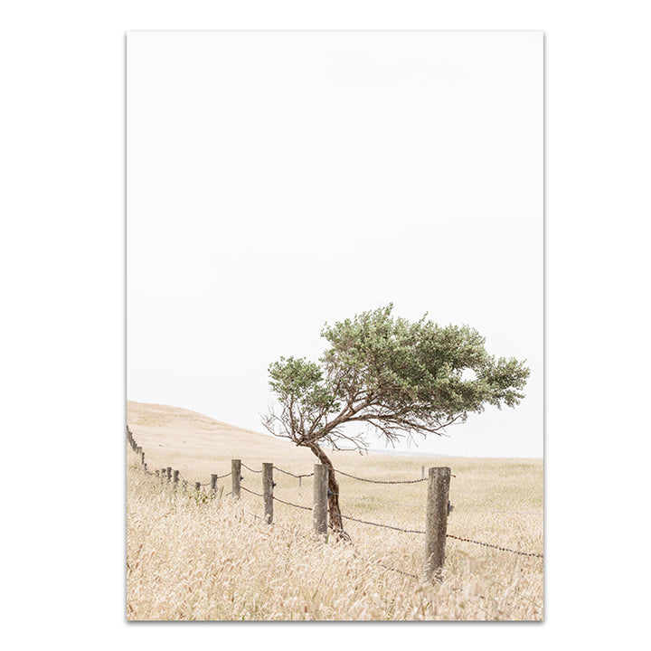 Fence - Country Victoria