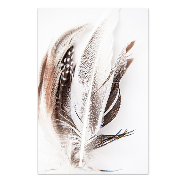 Feathers no.3