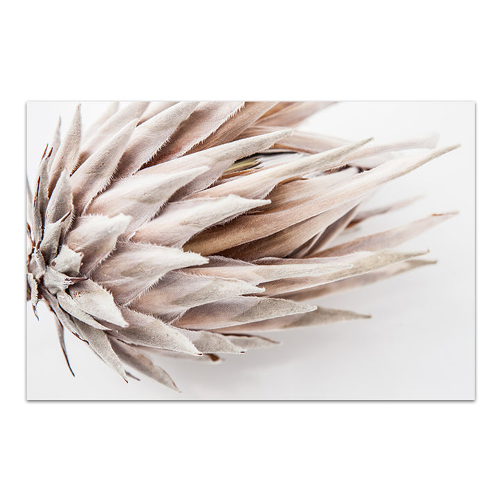 Ageing Gracefully II