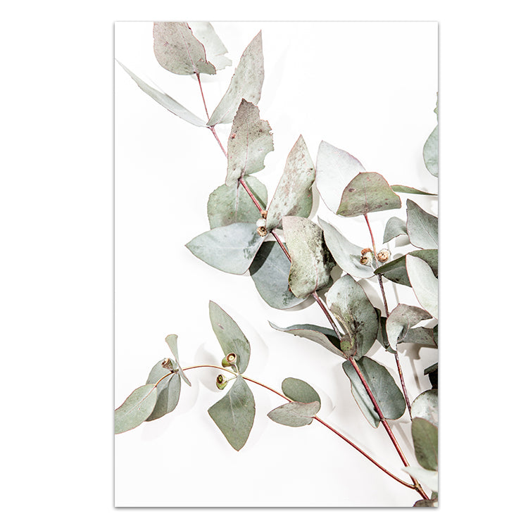 Set of 2 - Eucalyptus Leaves no.1 & no.2