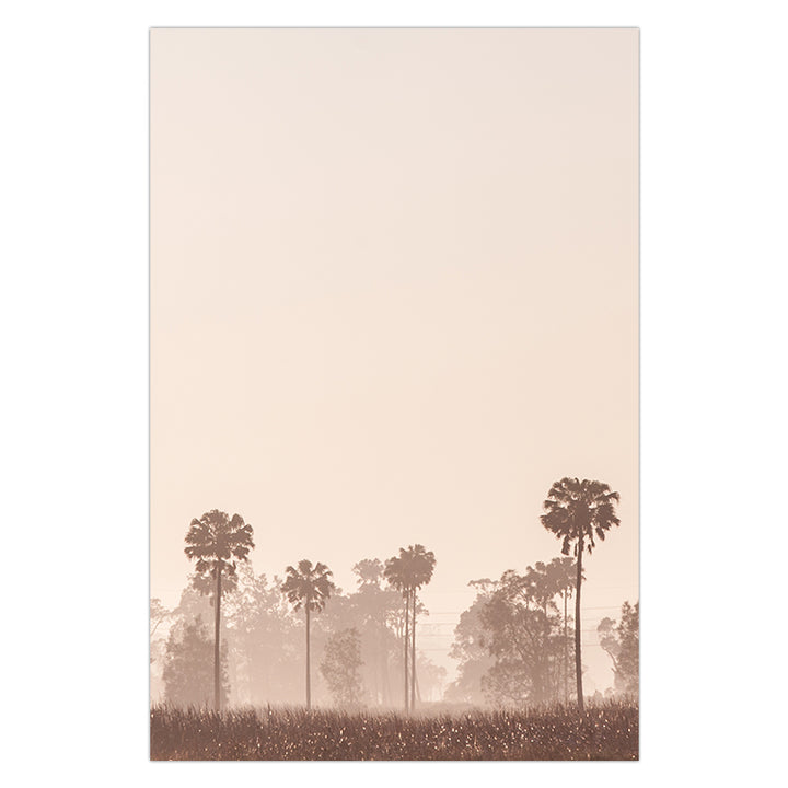 Sunrise Palms no.1 - Stockton Beach