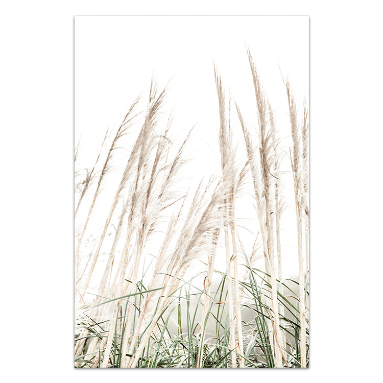 Set of 2 - Birds Eye View no.1 & Pampas Grass II