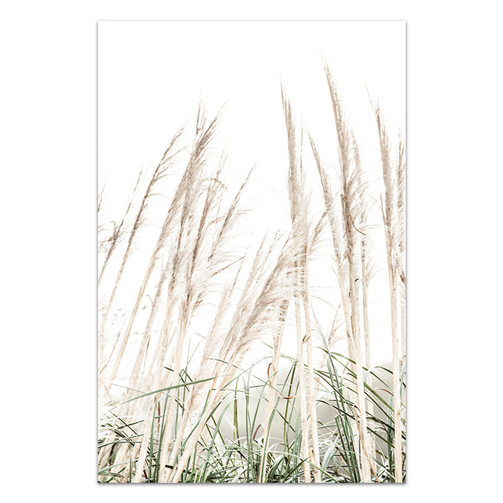 Set of 2 - Birds Eye View no.1 & Pampas Grass II