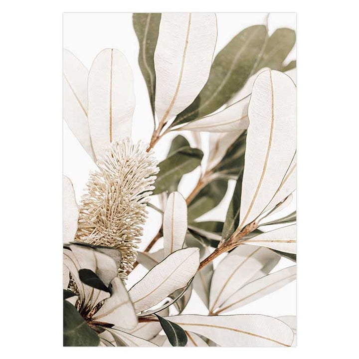 Set of 2 - Fallen Foliage no.1 & no.2